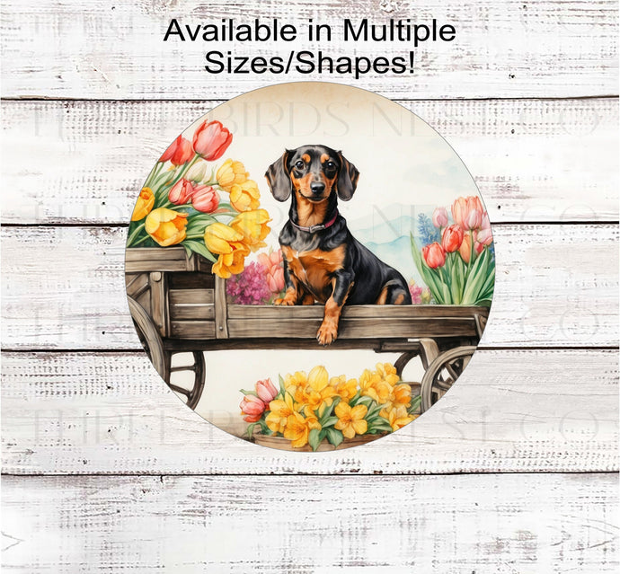 A black Dachshund Dog in a cart with Spring flowers.