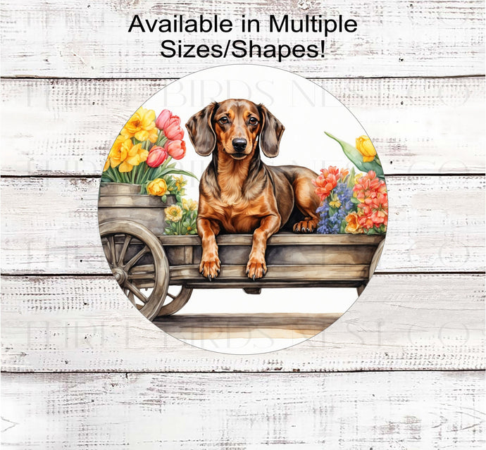 A red Dachshund Dog on a flower cart full of Spring Flower