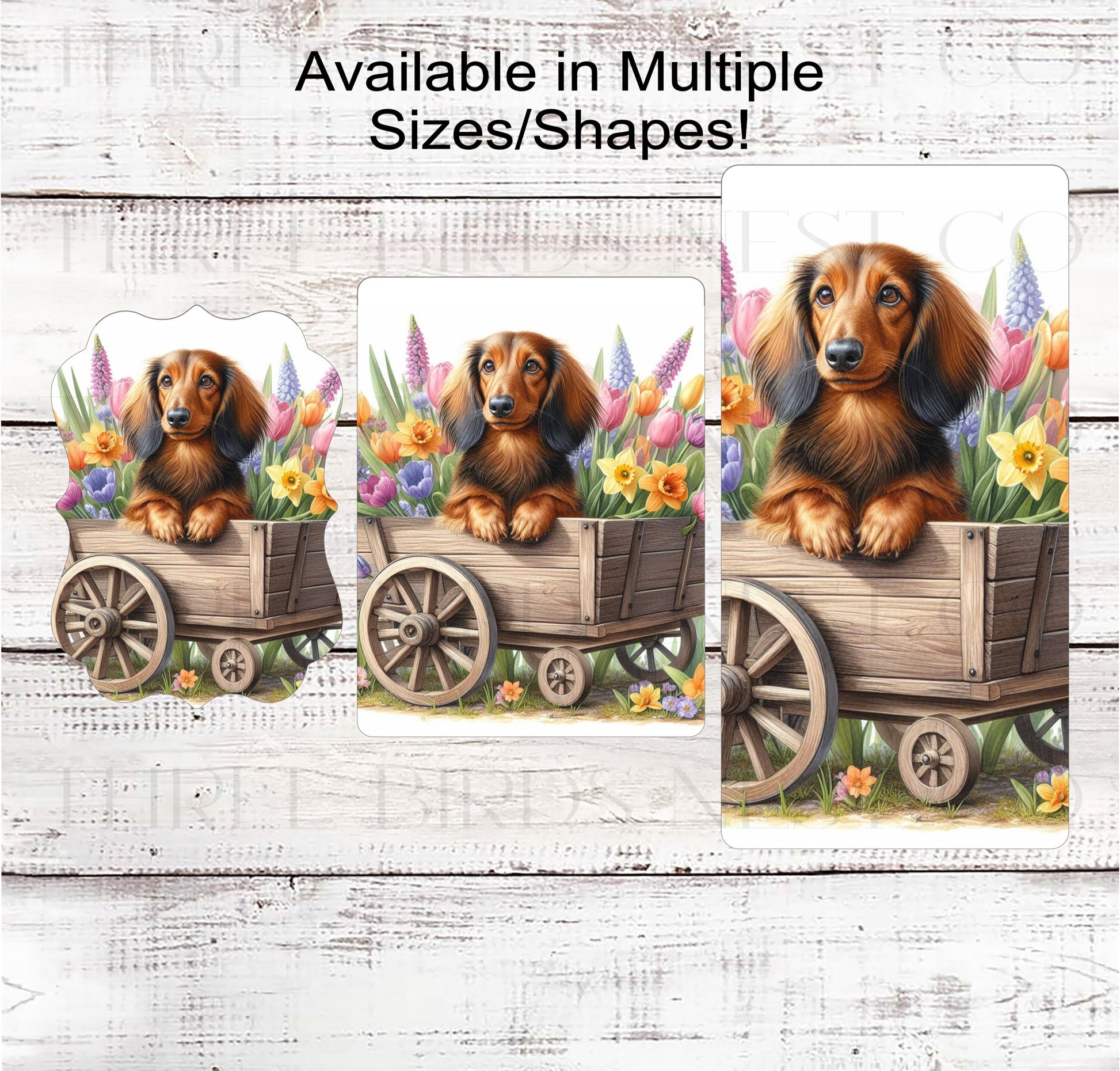 Dog Wreath Sign - Long-Haired Dachshund Dog - Spring Flowers - Floral Wreath Sign
