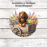 A long-haired Dachshund Dog on a flower cart full of Spring Flower