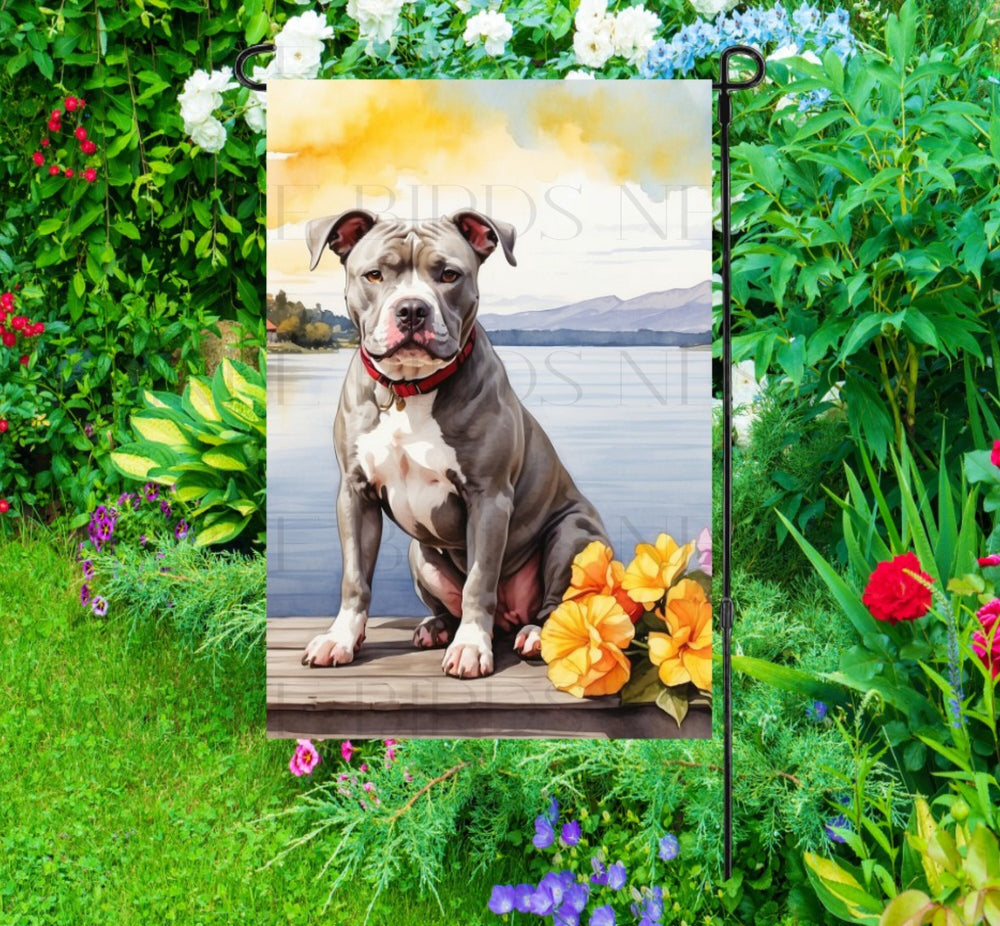 A beautiful grey and white Pit Bull on a dock overlooking a Lake.