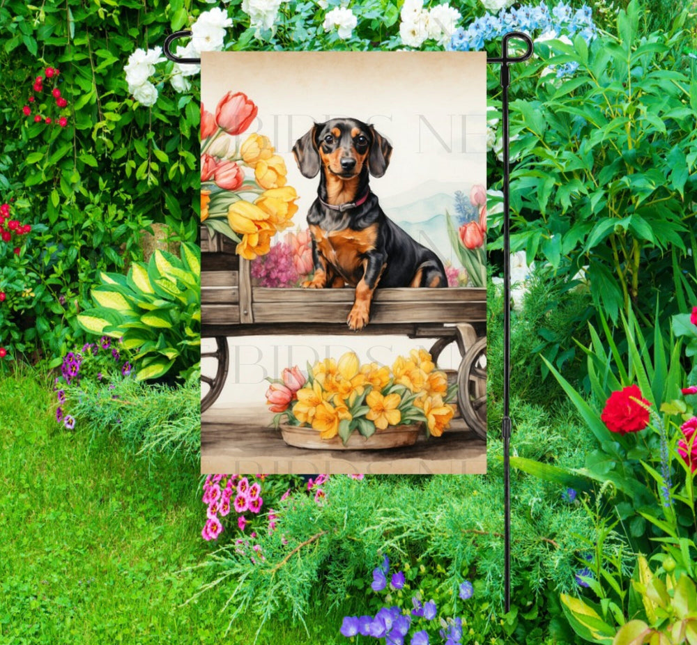 A beautiful black Dachshund dog surrounded by gorgeous flowers.