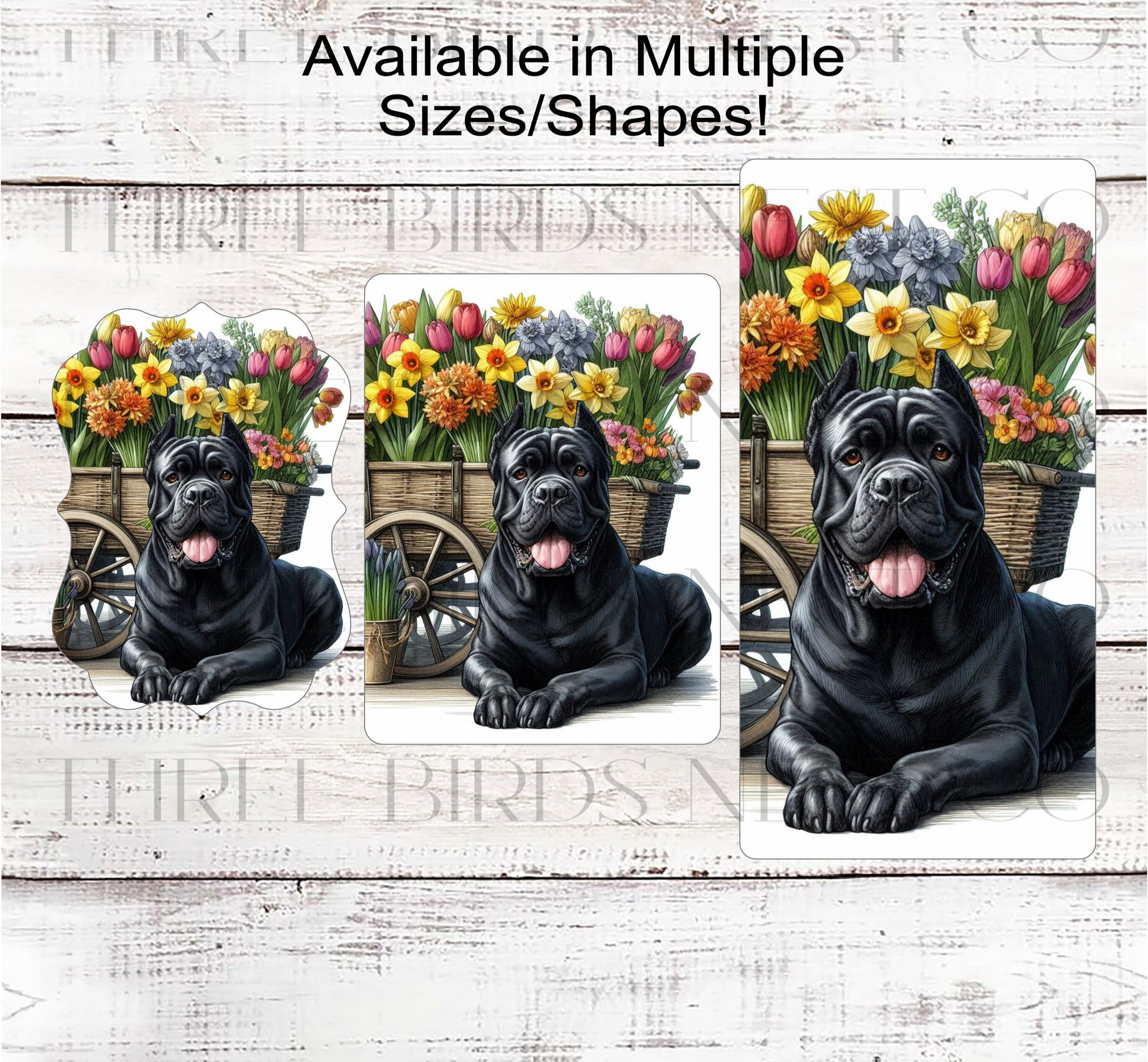 Spring Dog Wreath Sign - Black Cane Corso Dog - Floral Wreath Sign