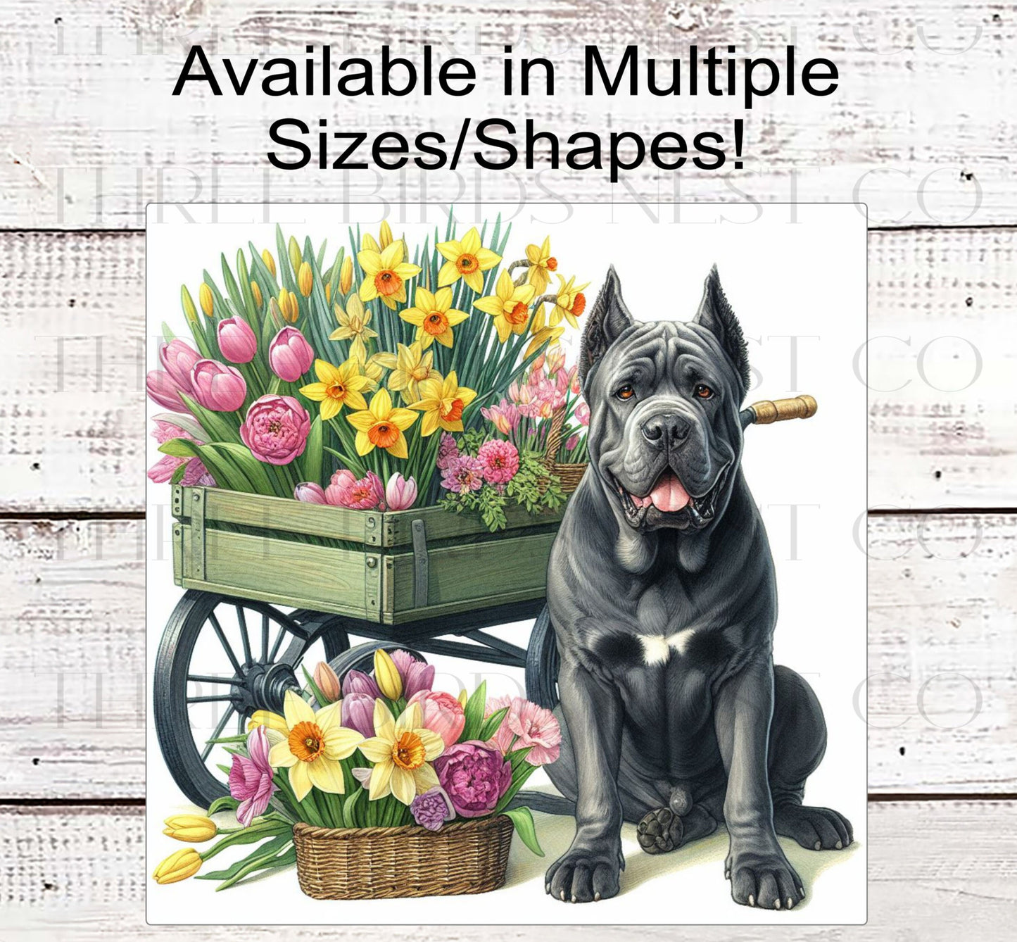 Spring Dog Wreath Sign - Grey Cane Corso Dog - Floral Wreath Sign