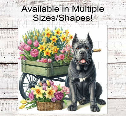 Spring Dog Wreath Sign - Grey Cane Corso Dog - Floral Wreath Sign