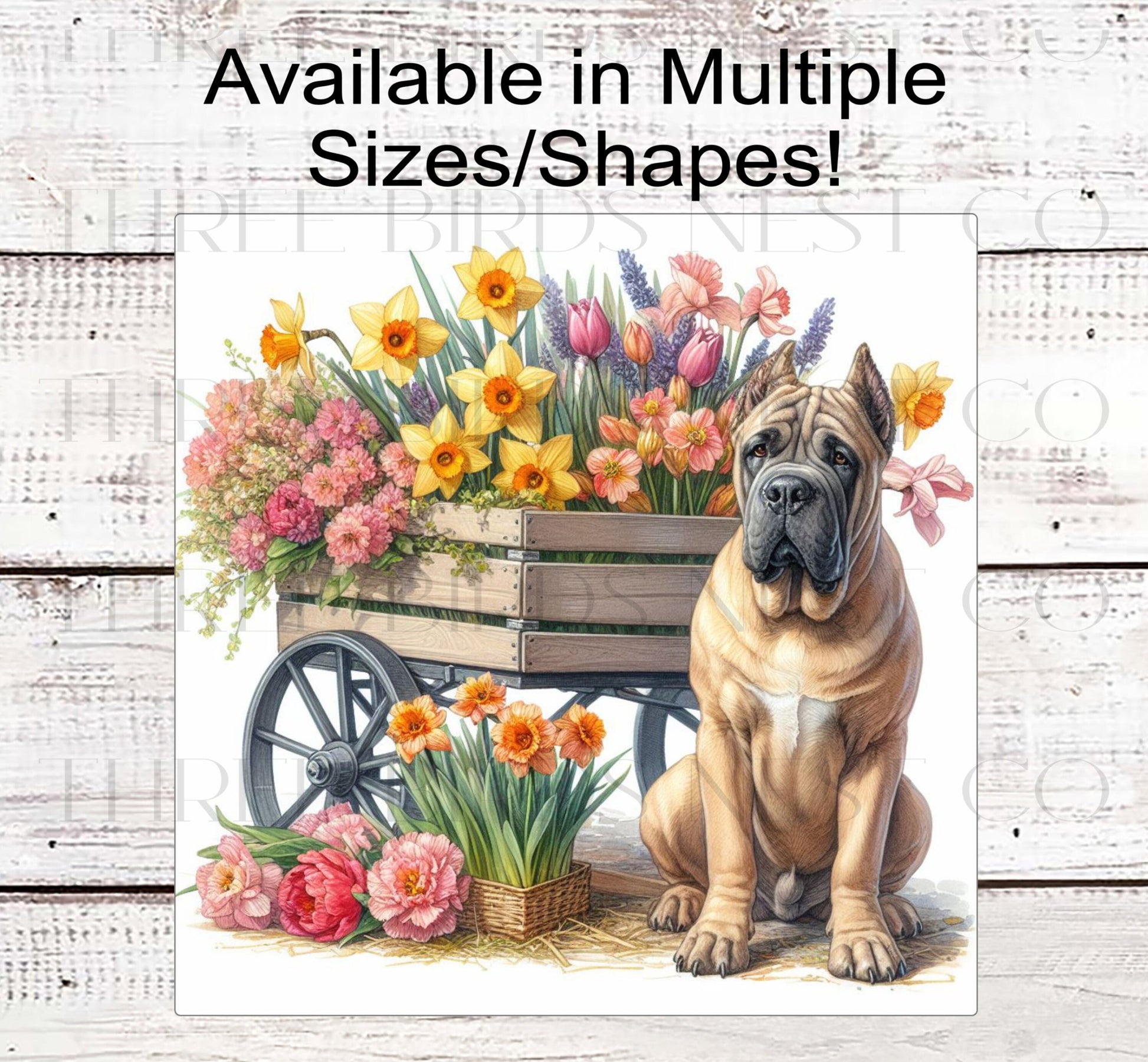 Spring Dog Wreath Sign - Fawn Cane Corso Dog - Floral Wreath Sign