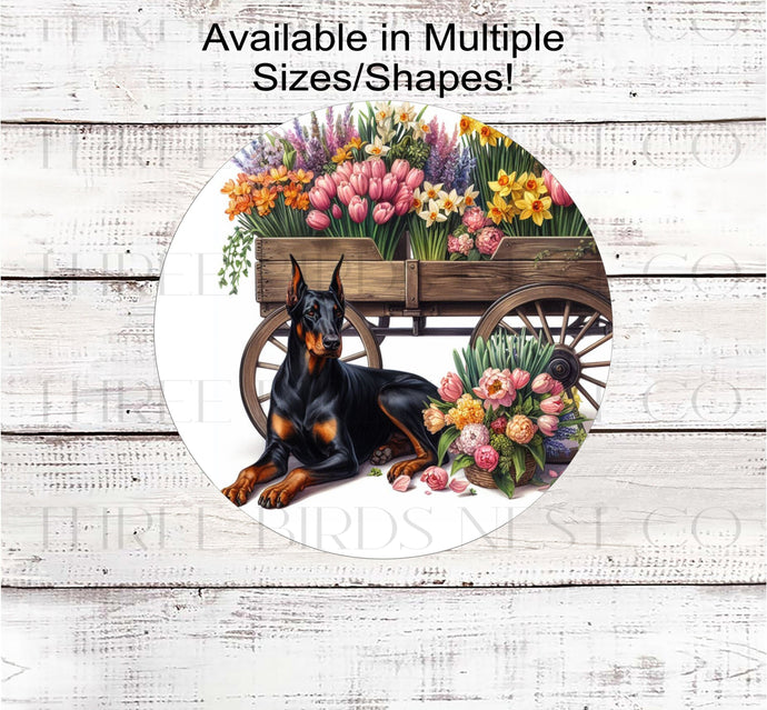 A black Doberman Pinscher dog surrounded by beautiful Spring flowers