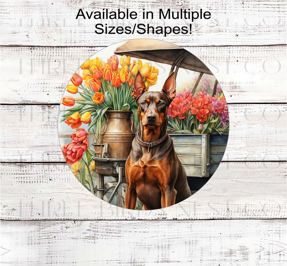 A red Doberman Pinscher dog surrounded by beautiful Spring flowers