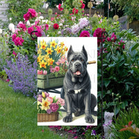 A beautiful grey Cane Corso dog surrounded by gorgeous flowers.