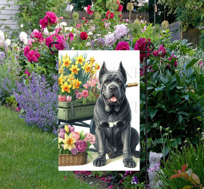 A beautiful grey Cane Corso dog surrounded by gorgeous flowers.