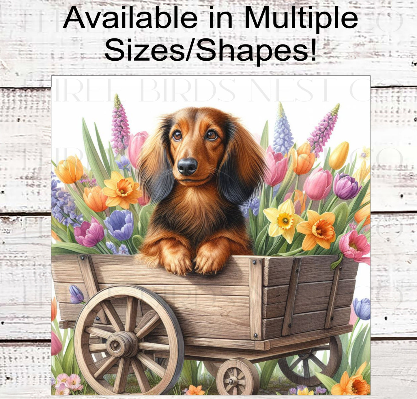Dog Wreath Sign - Long-Haired Dachshund Dog - Spring Flowers - Floral Wreath Sign