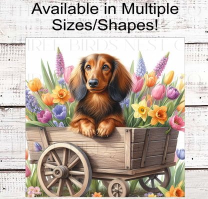 Dog Wreath Sign - Long-Haired Dachshund Dog - Spring Flowers - Floral Wreath Sign