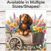 Dog Wreath Sign - Long-Haired Dachshund Dog - Spring Flowers - Floral Wreath Sign