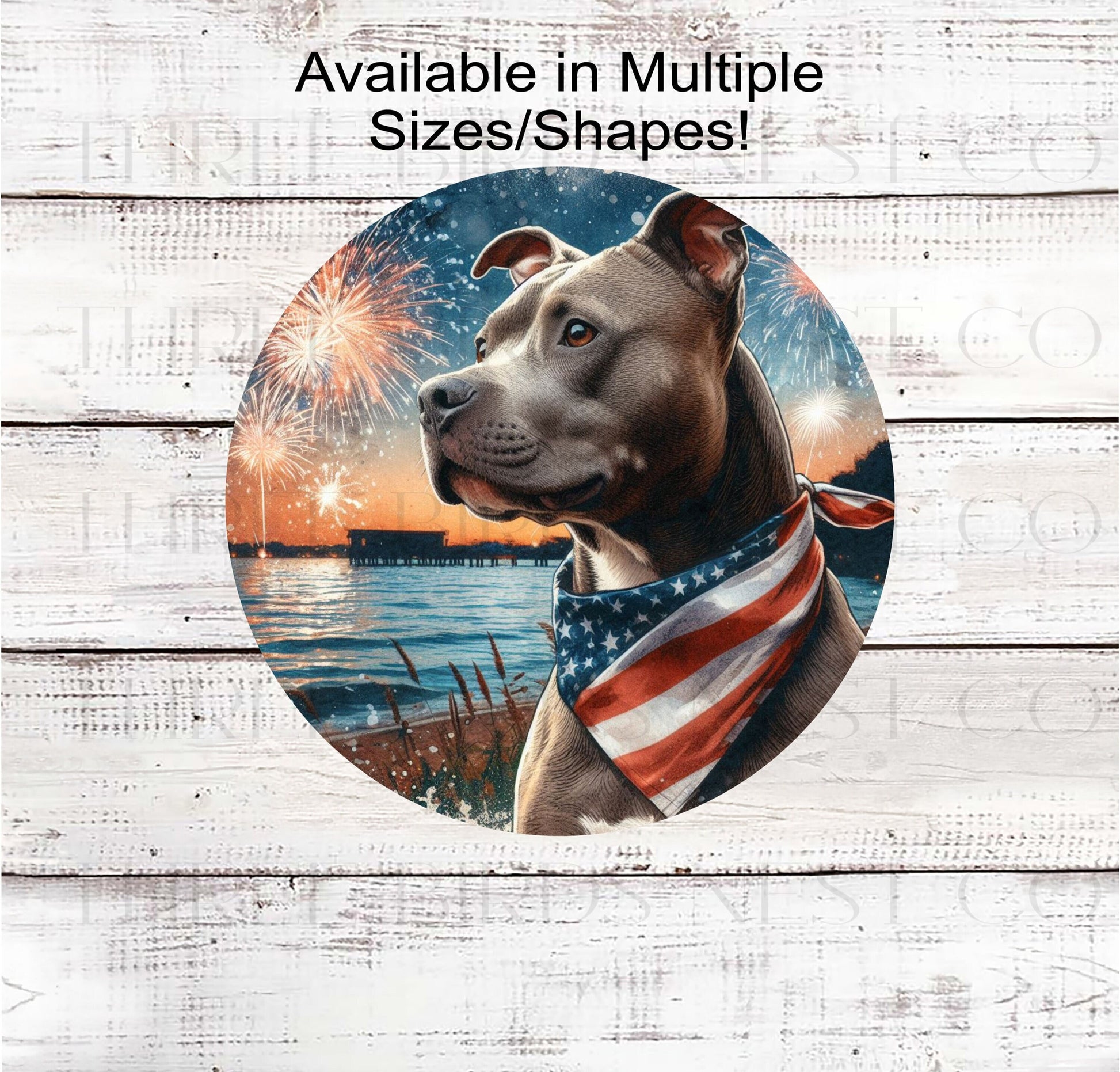 A beautiful Staffordshire Terrier/ Pit Bull dog wearing an American Flag Bandanna on a Beach with Fireworks.
