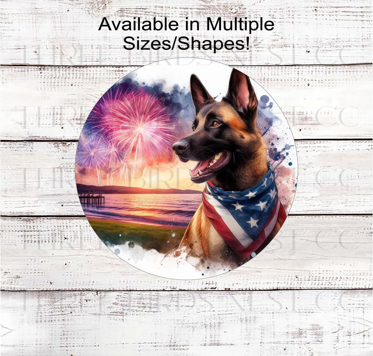 A beautiful Belgian Malinois dog wearing an American Flag Bandanna on a Beach with Fireworks.